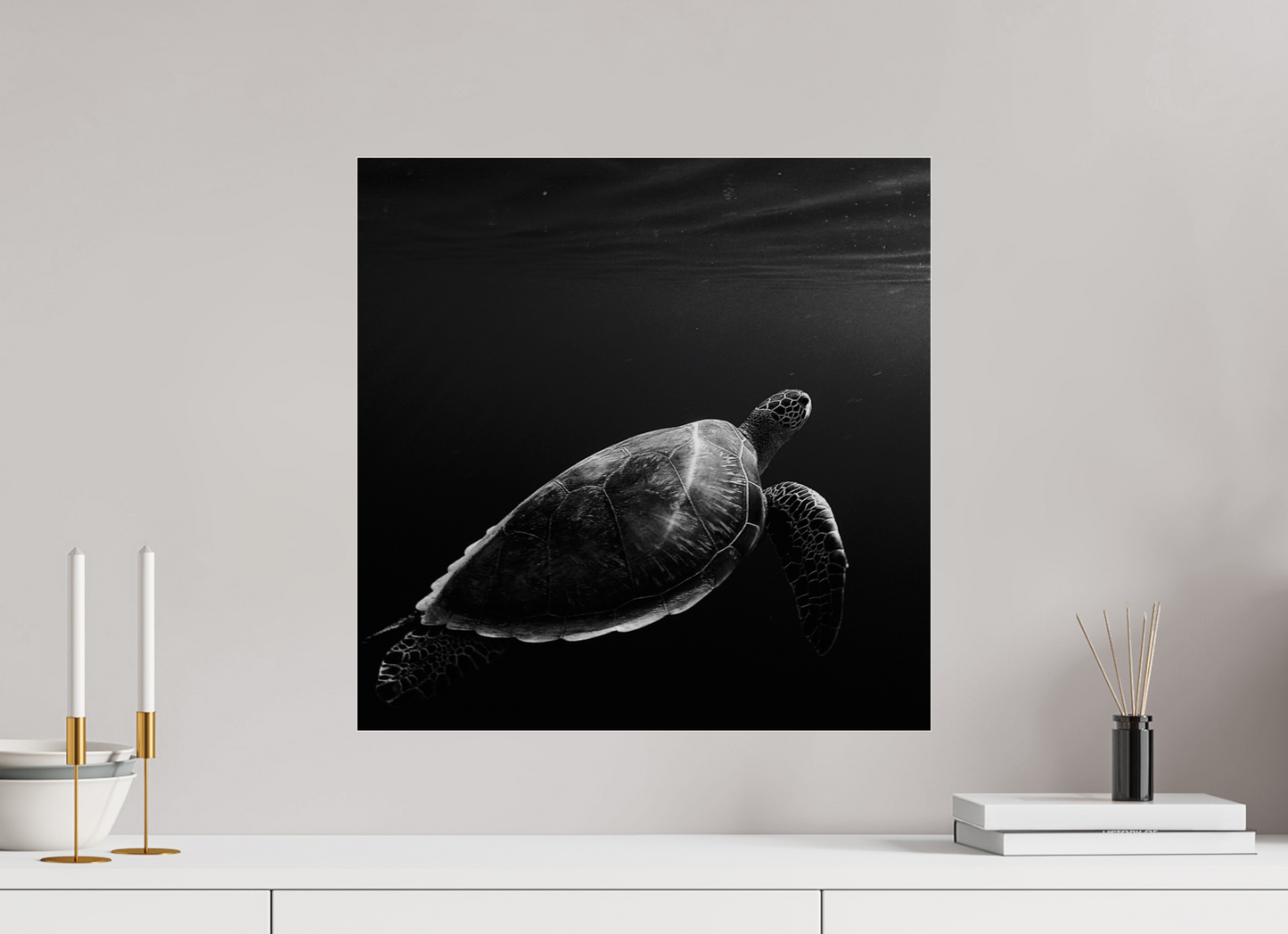 Tortoise