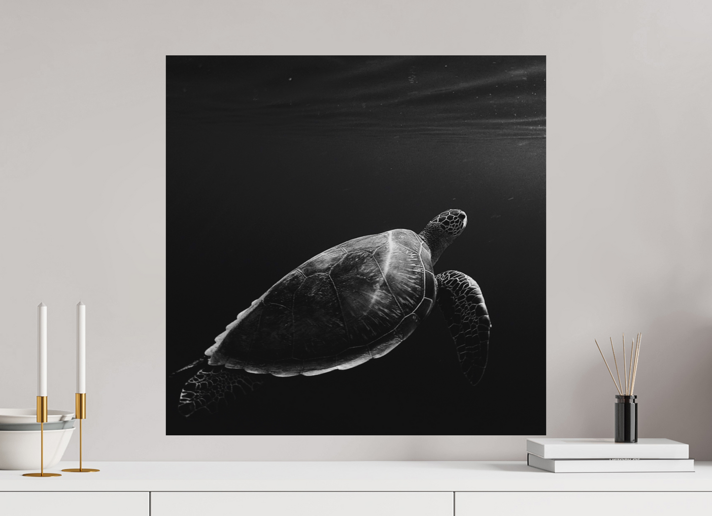 Tortoise
