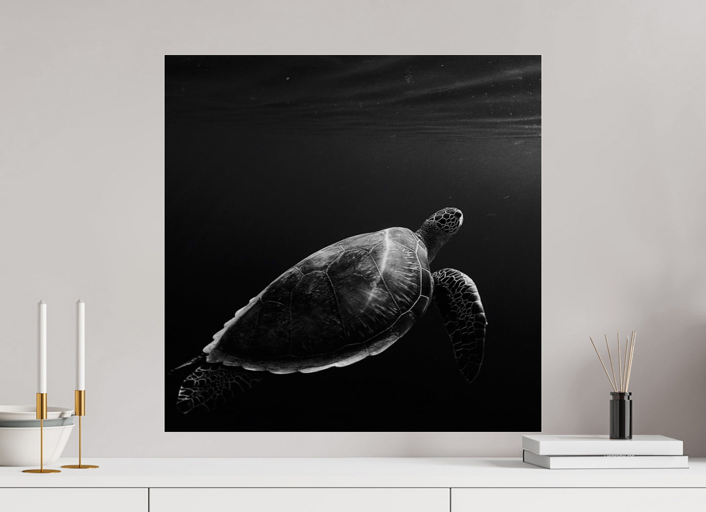 Tortoise