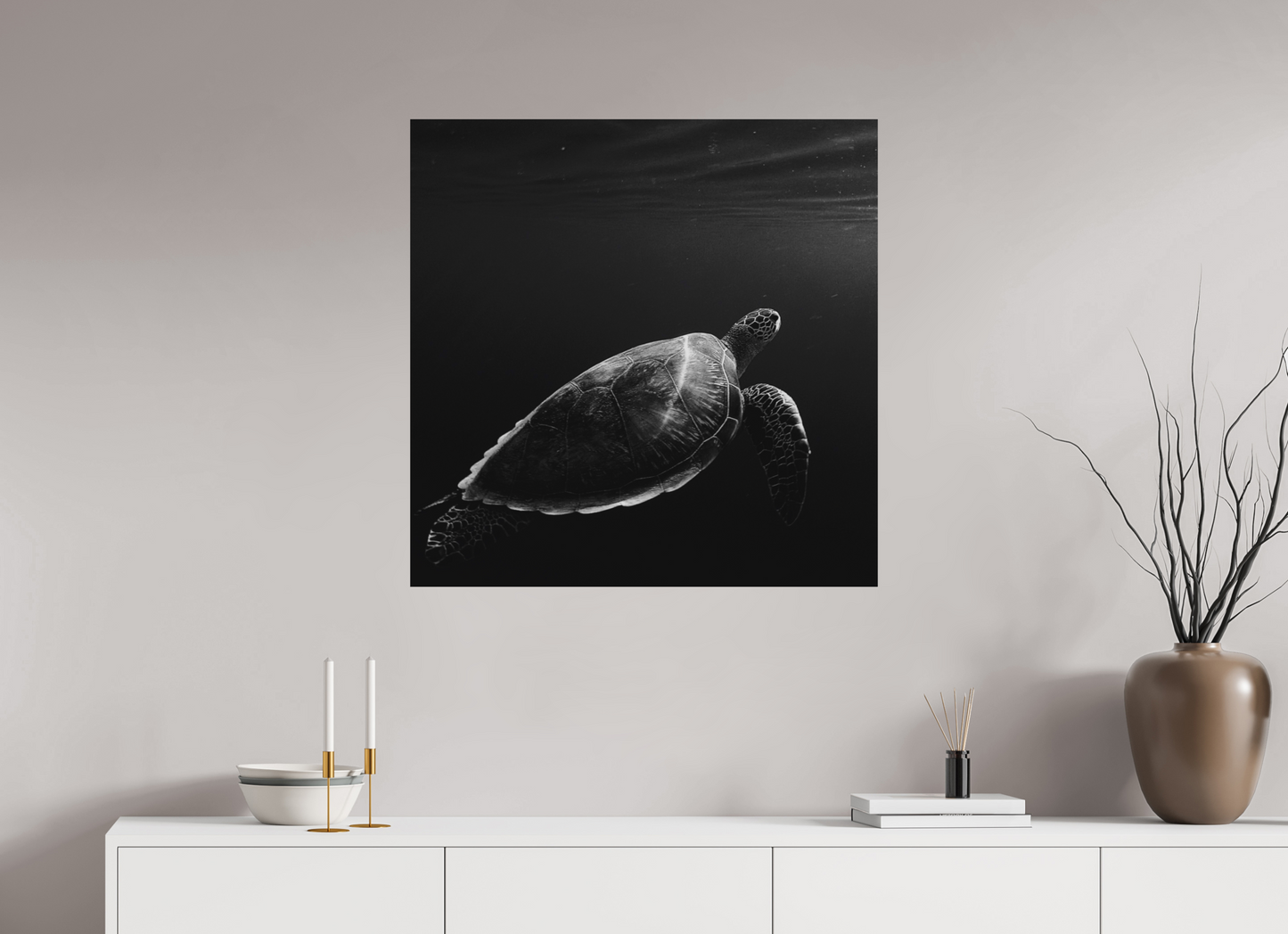 Tortoise