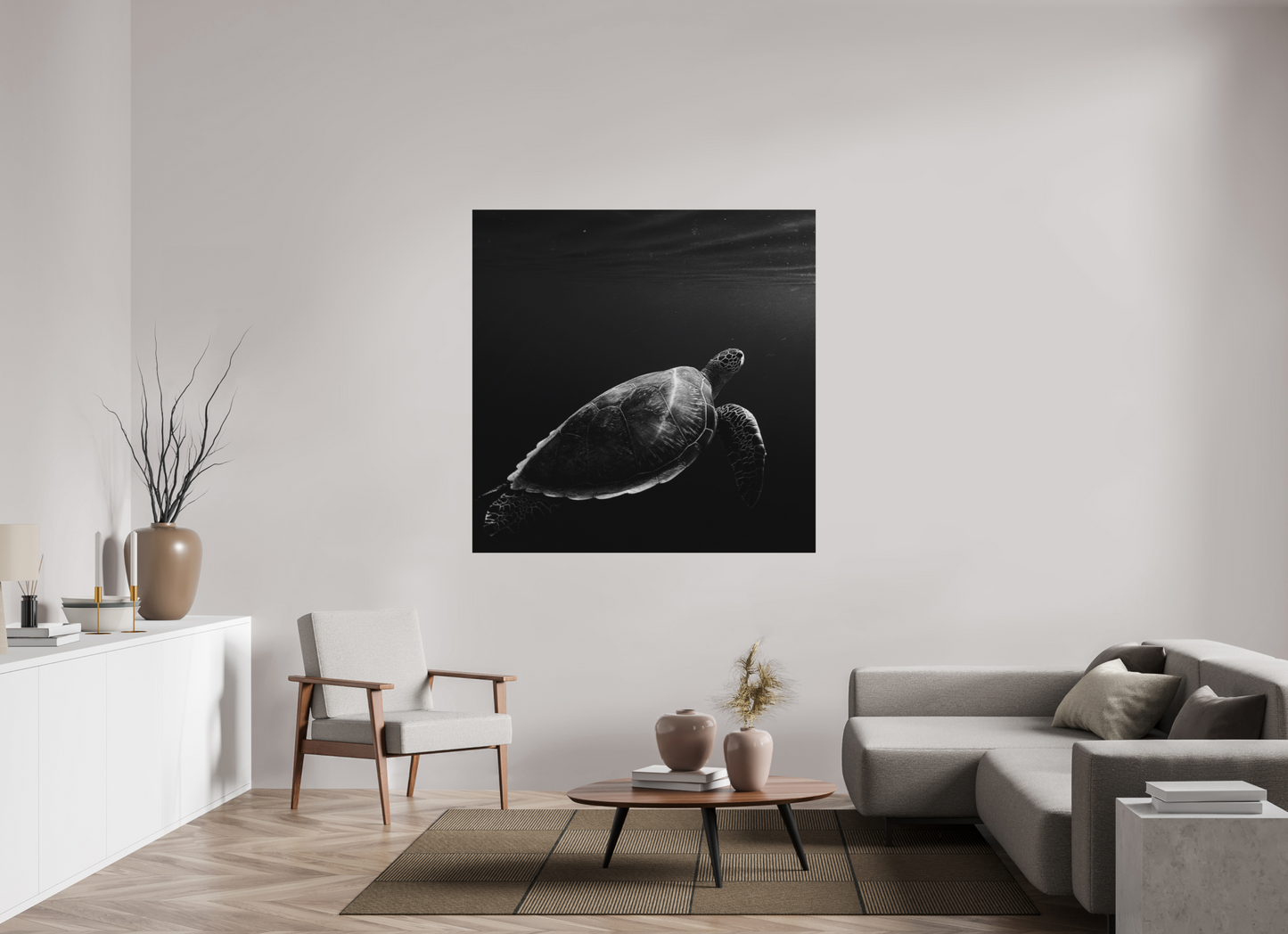 Tortoise