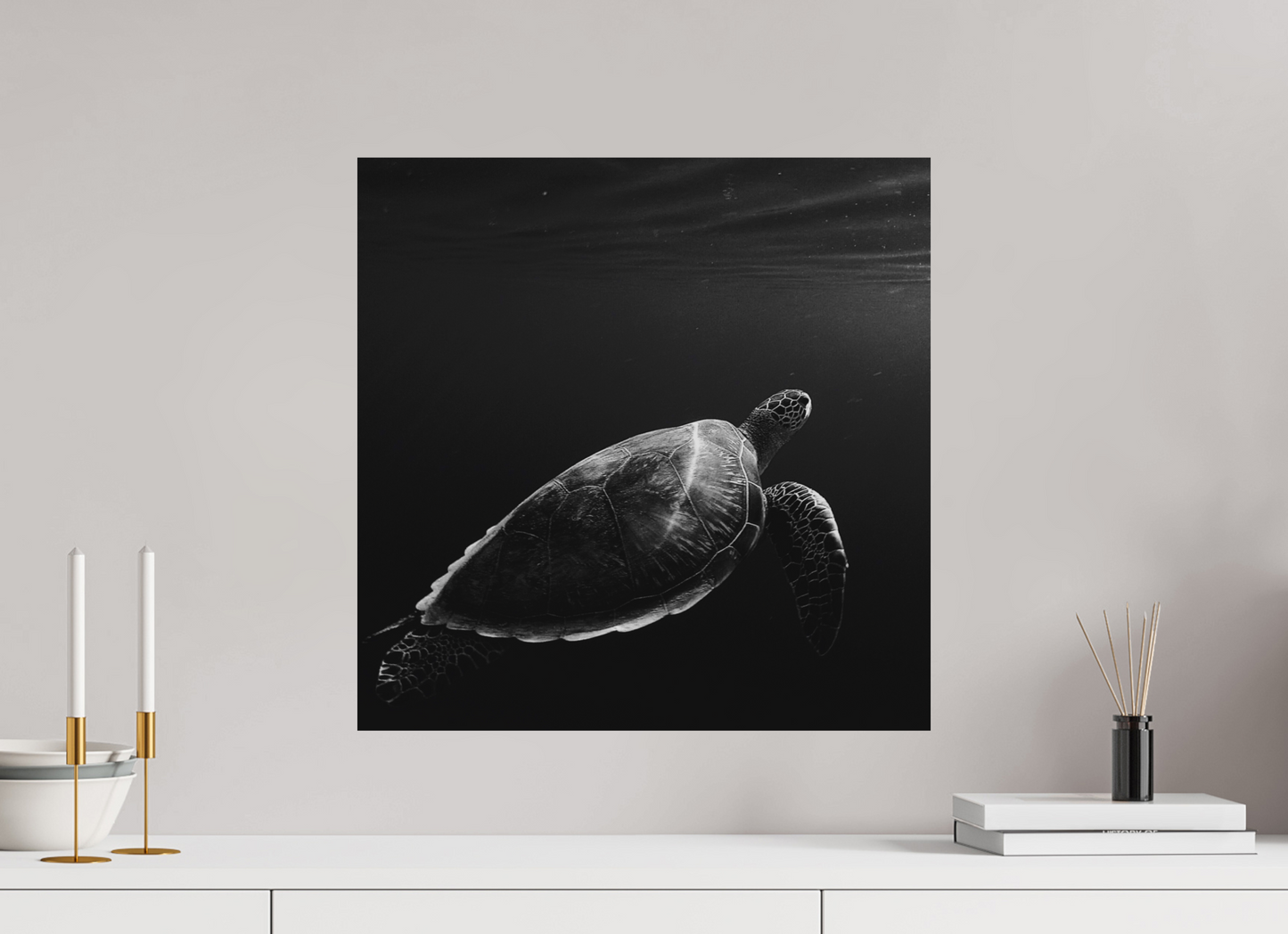 Tortoise