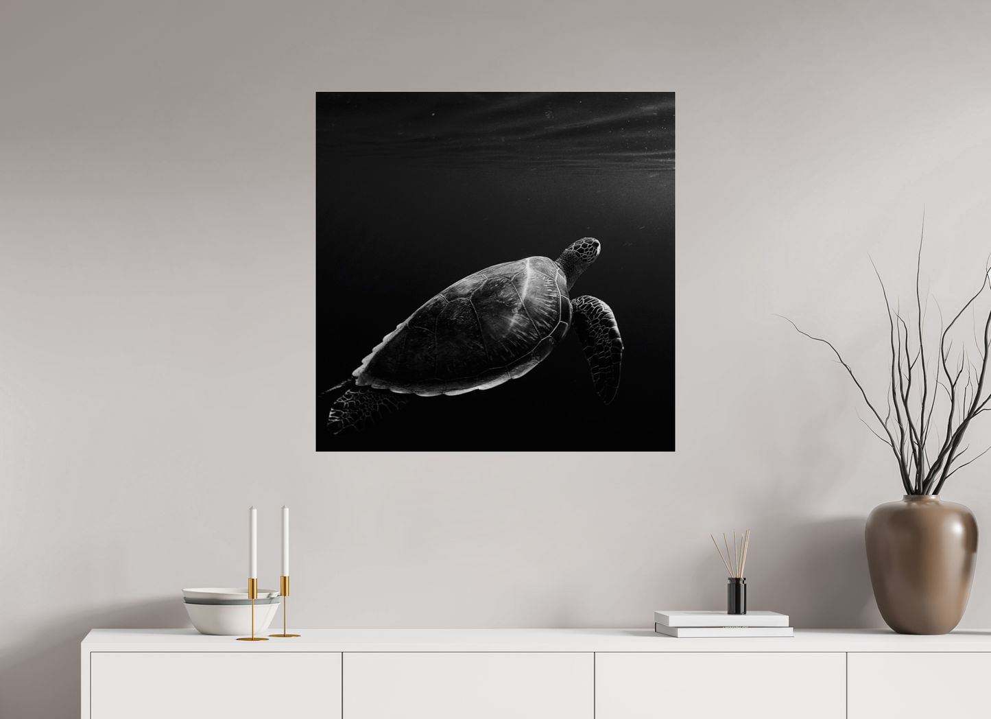Tortoise