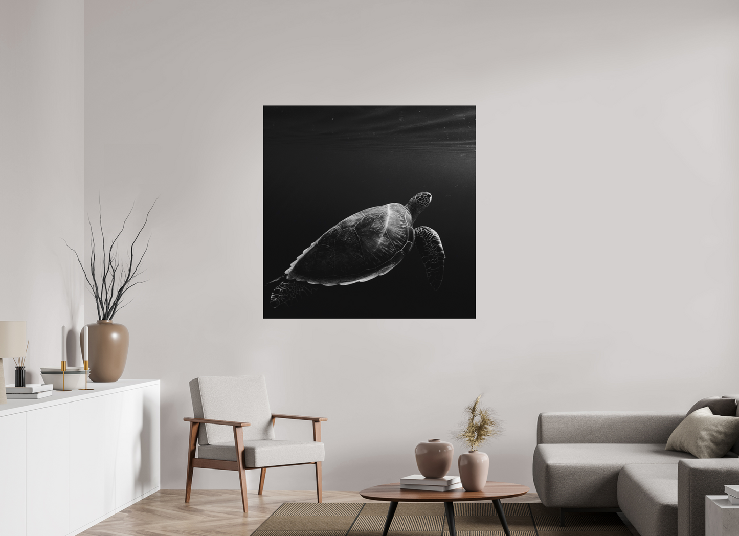 Tortoise