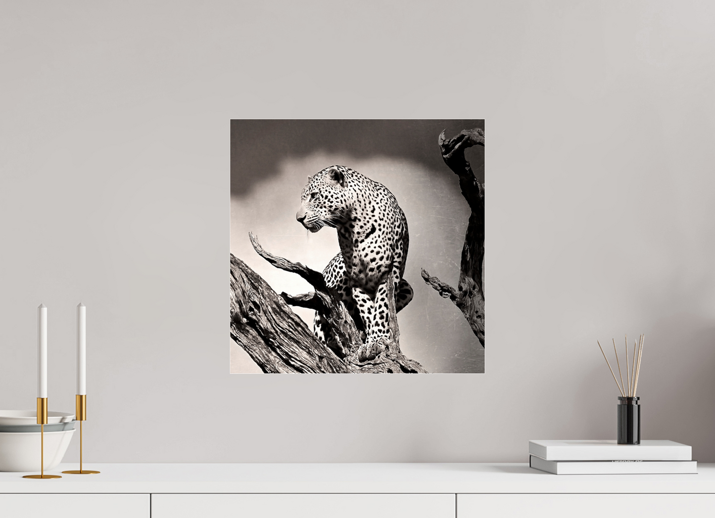 Leopard