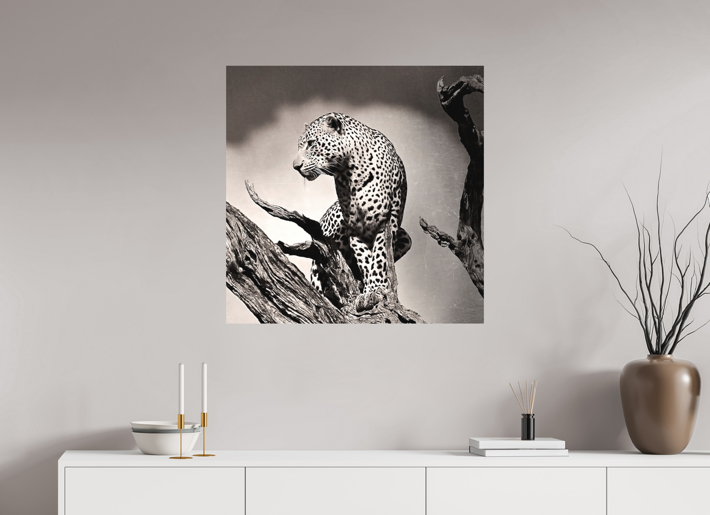 Leopard