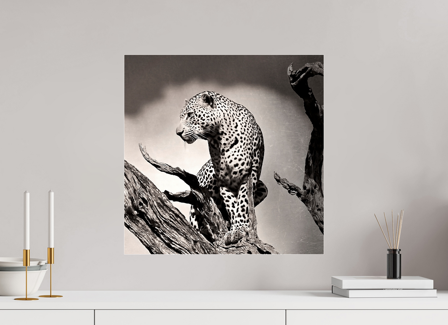 Leopard