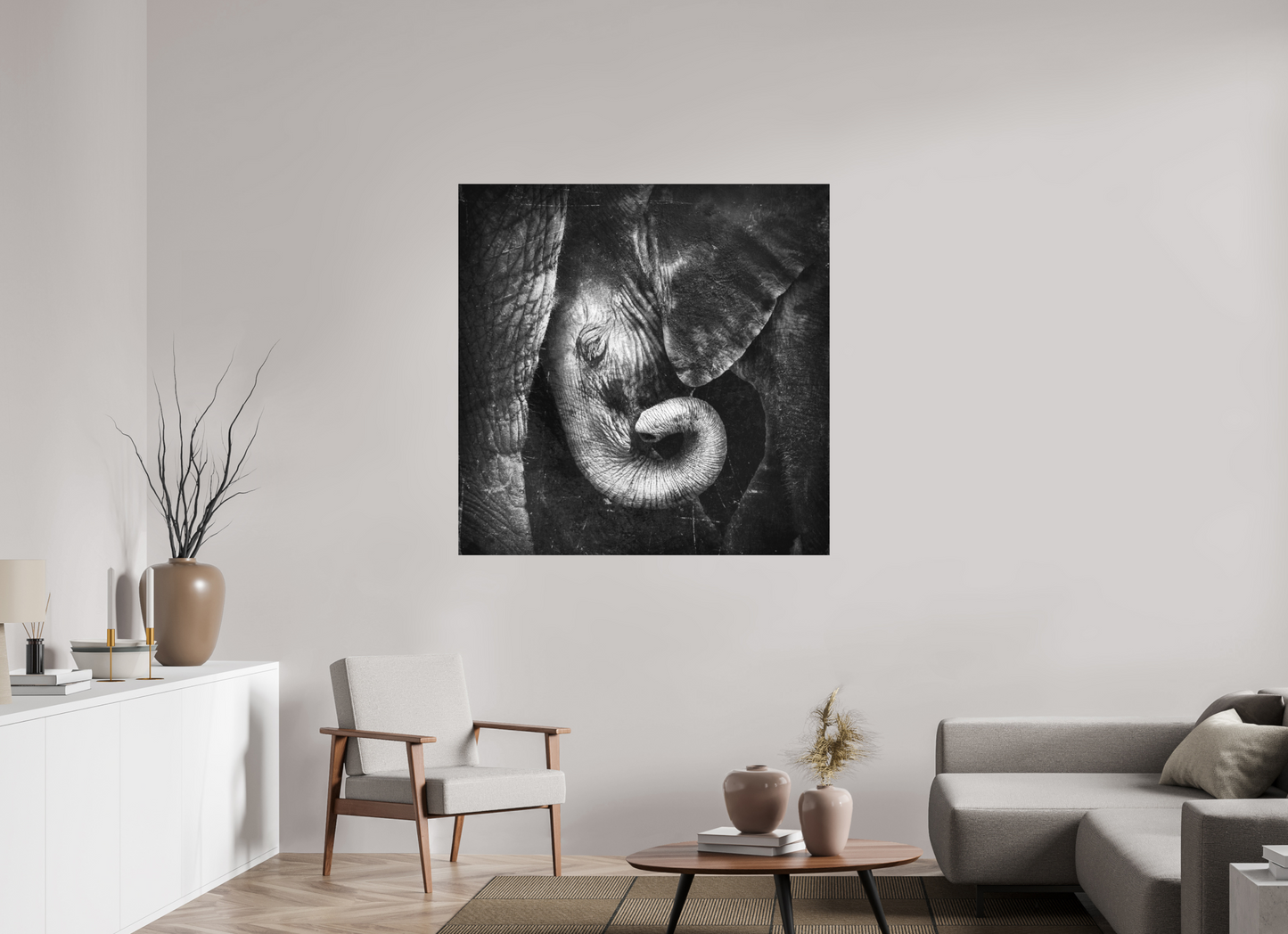 Baby Elephant