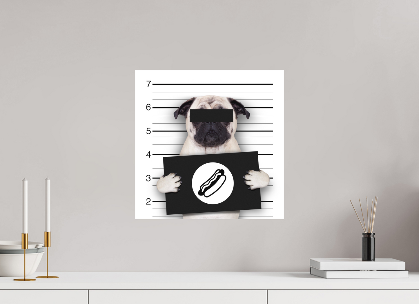 Dog, wasn't me