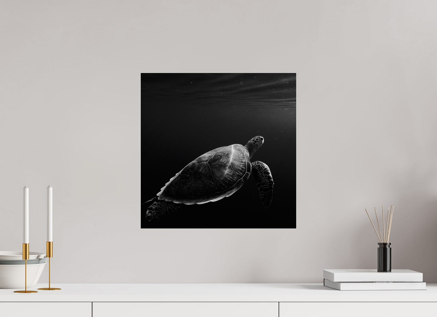 Tortoise