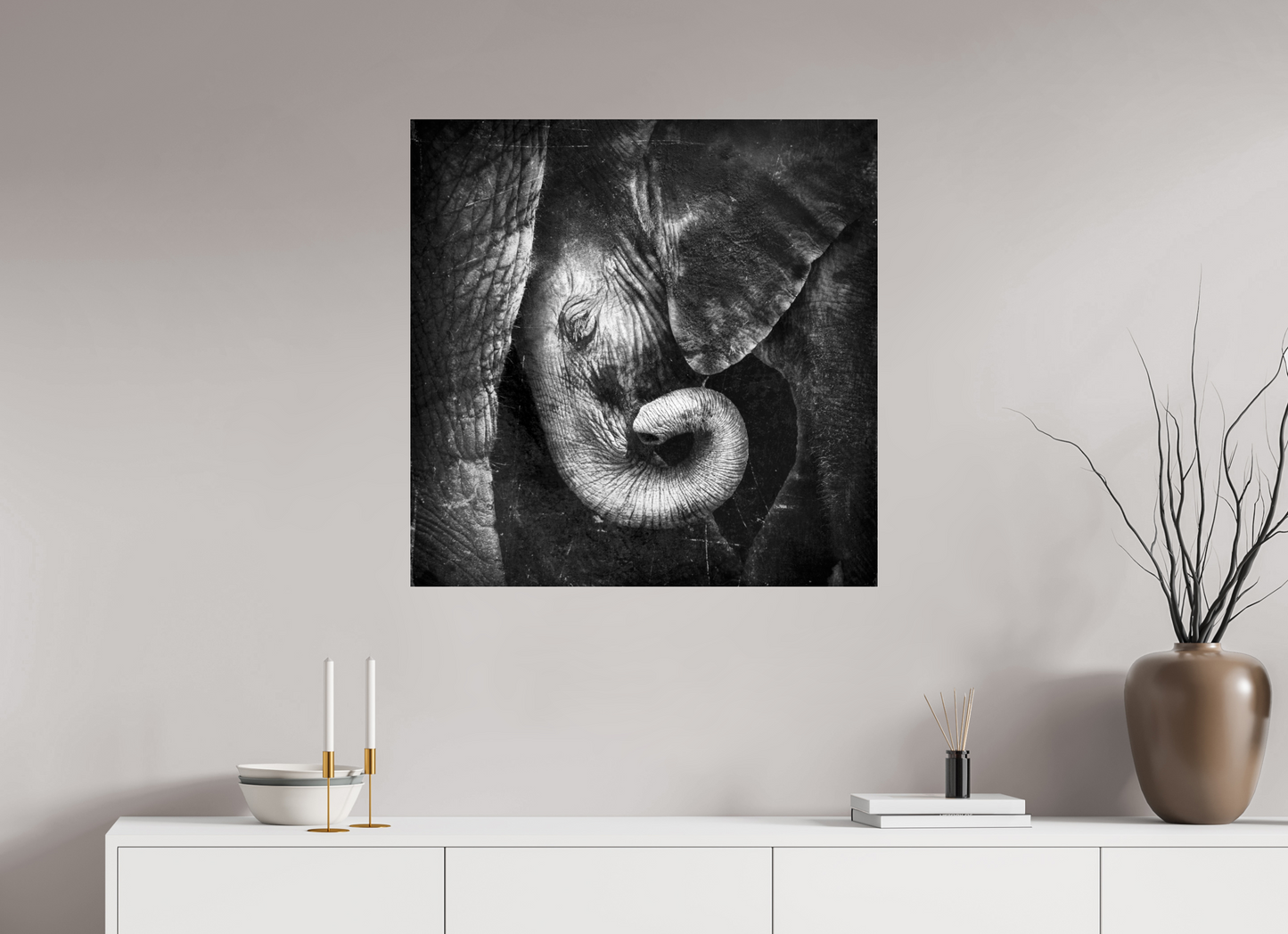 Baby Elephant
