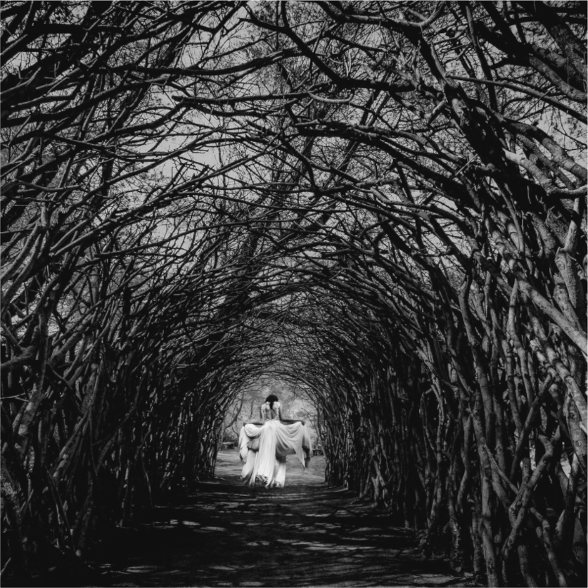 Magic Forest