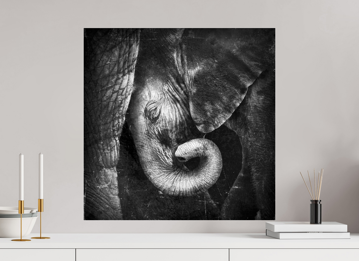 Baby Elephant