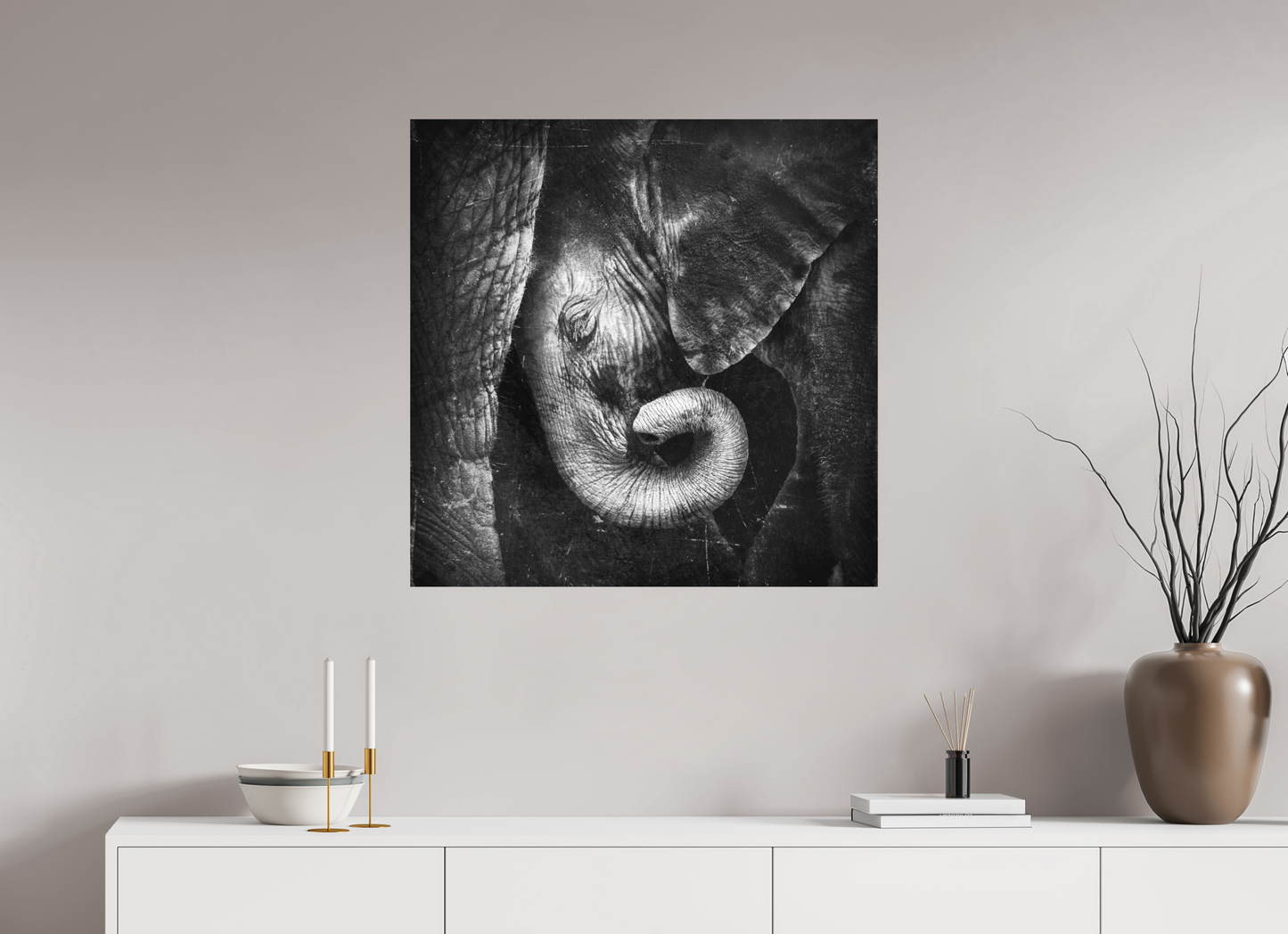 Baby Elephant