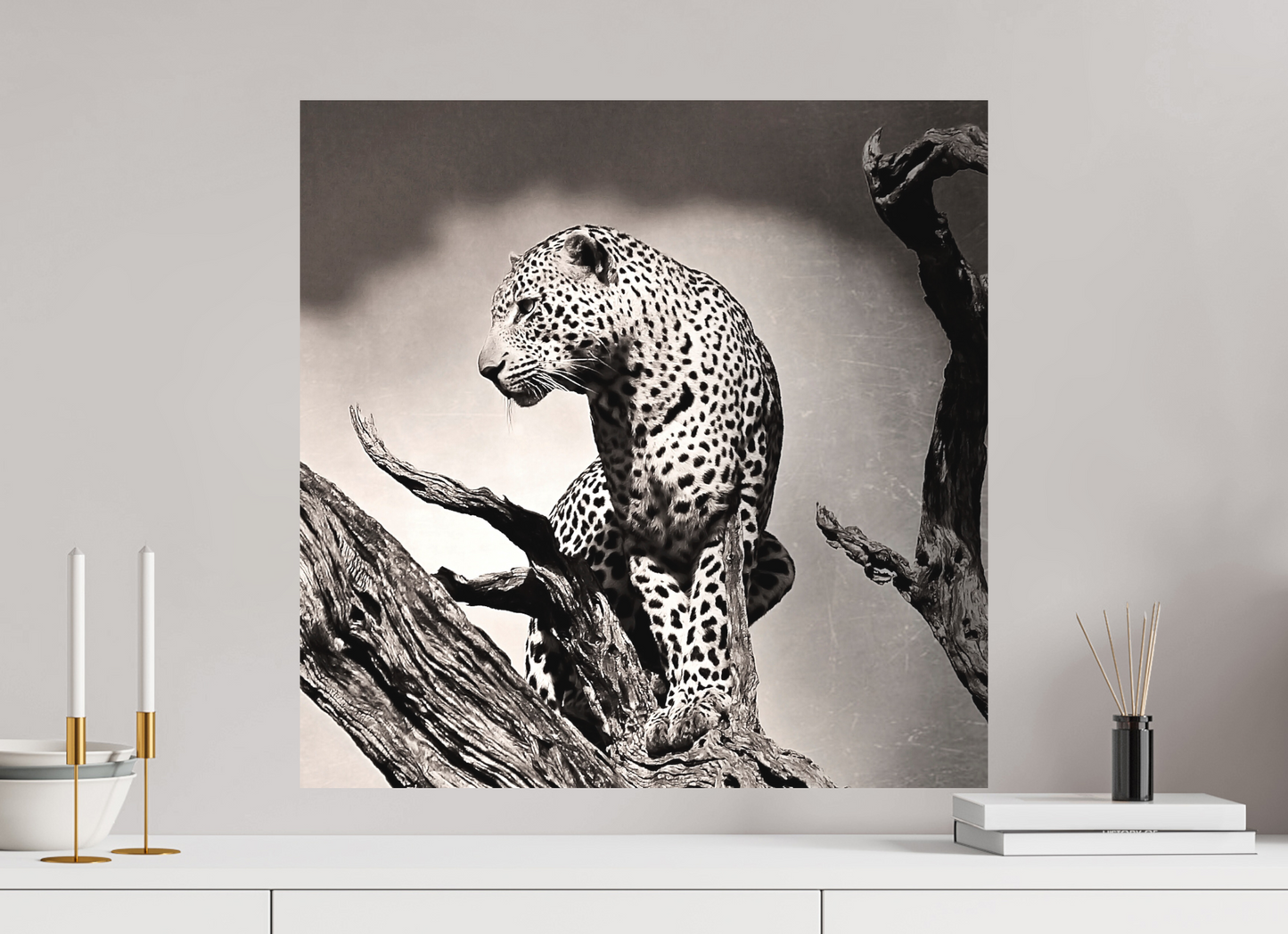 Leopard