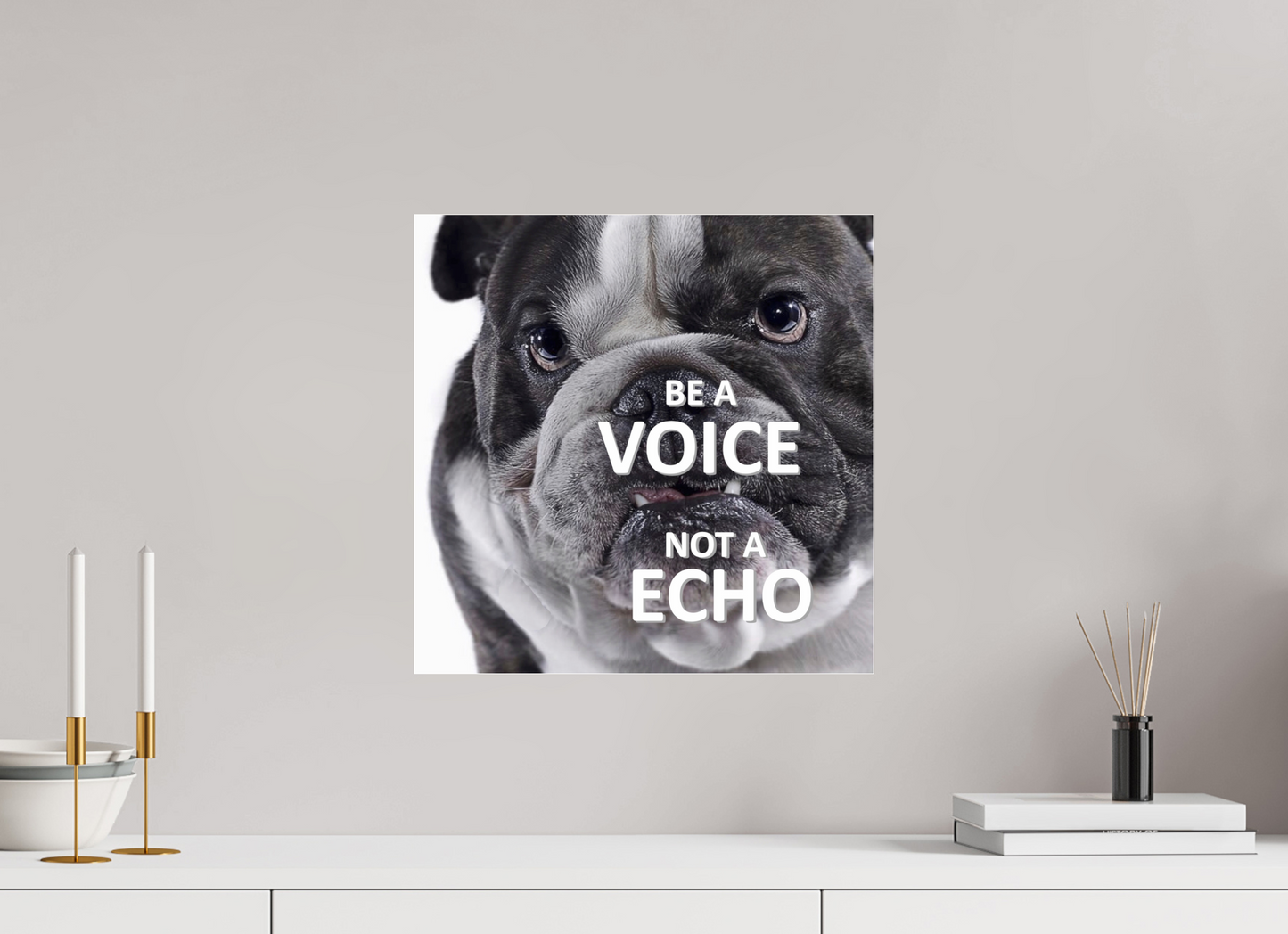 Be a Voice