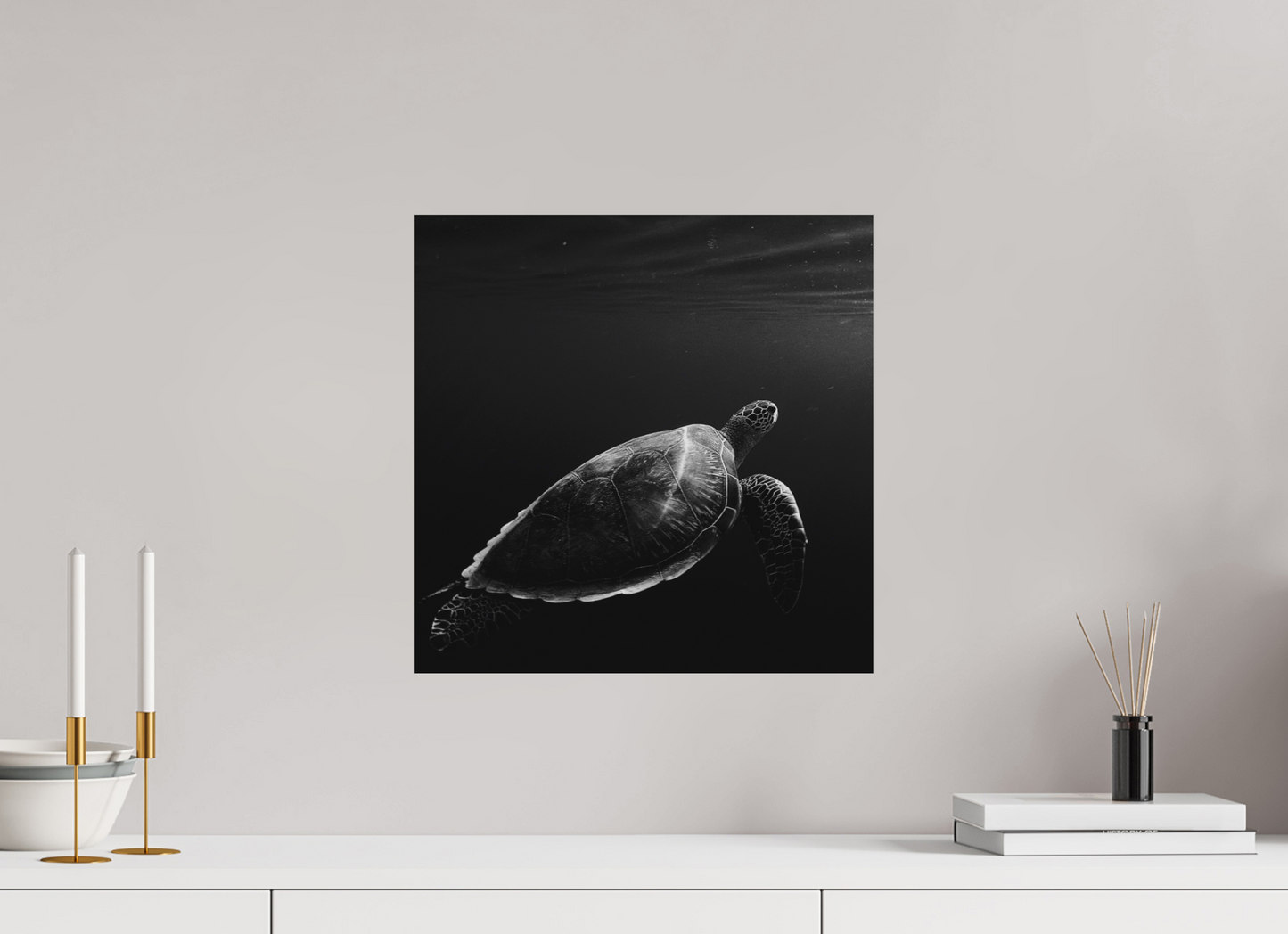 Tortoise