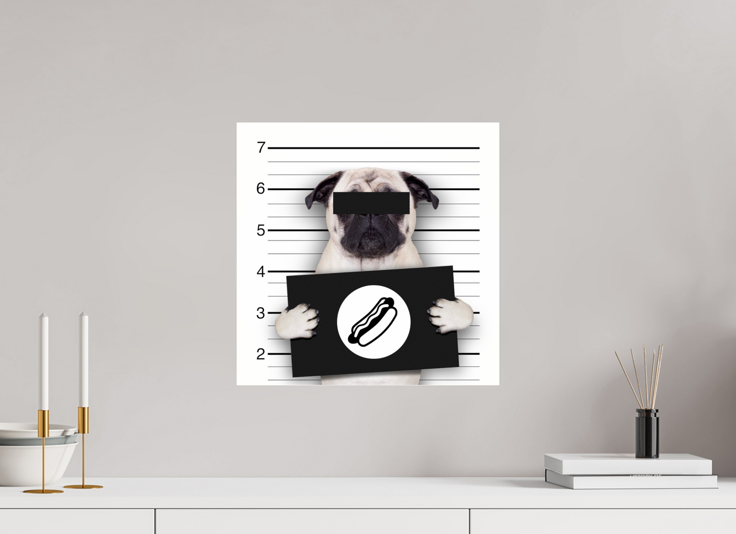 Dog, wasn't me