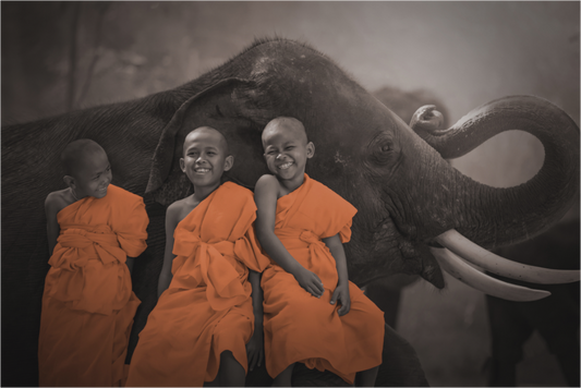 Monk's and Elephant