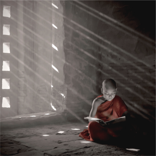 Reading Monk