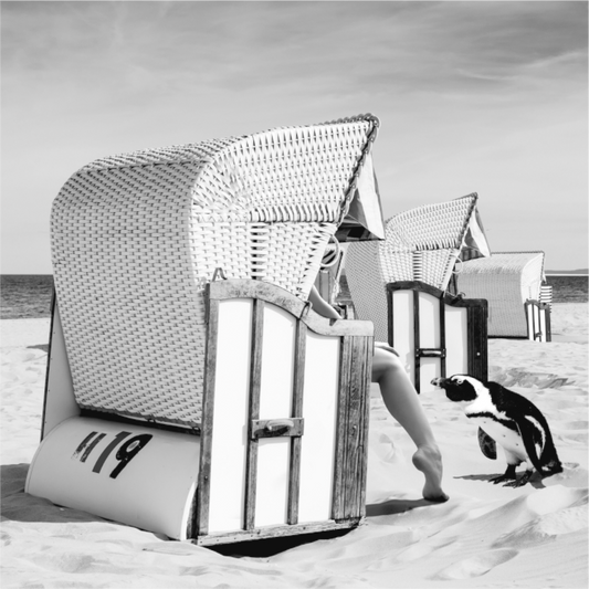 Beach Chair
