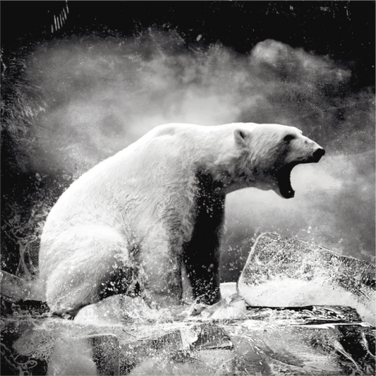 Polarbear