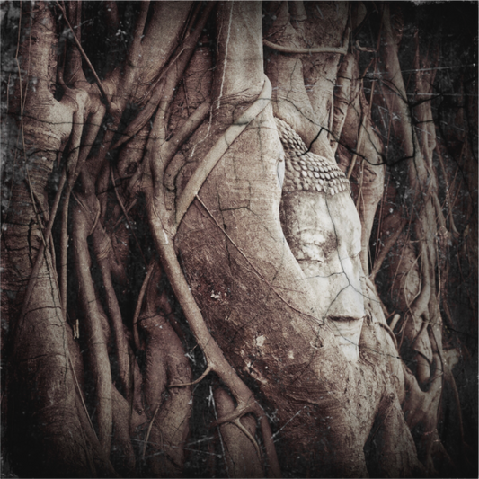 Buddha