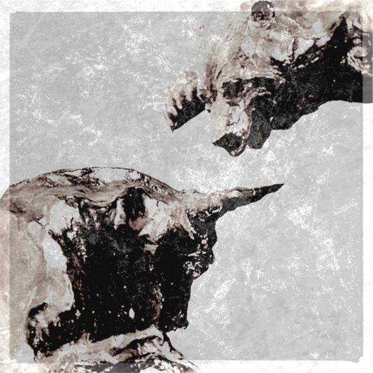 Bull & Bear