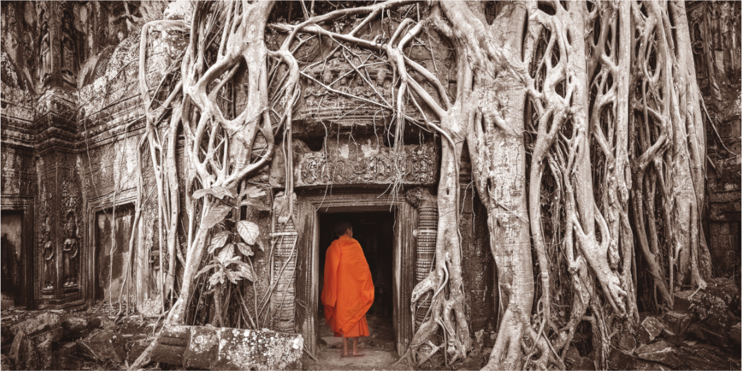 Monk
