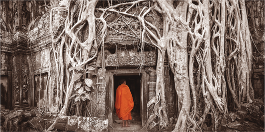 Monk