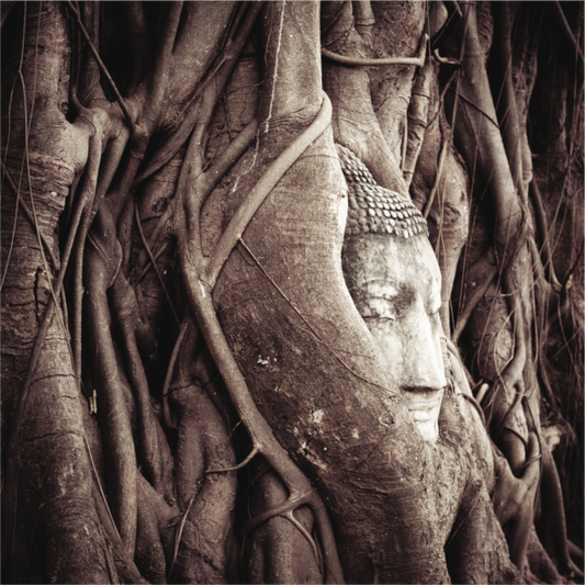 Buddha