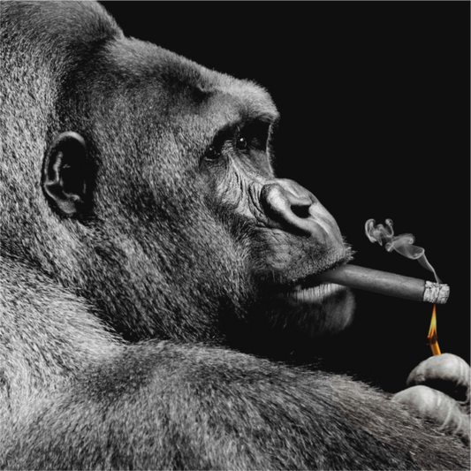 Smoking Only