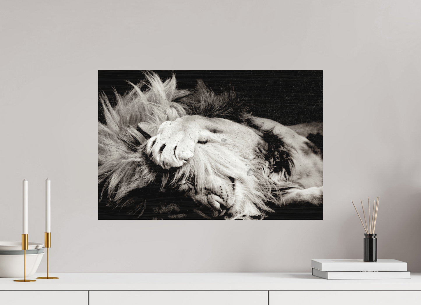 Lion Male