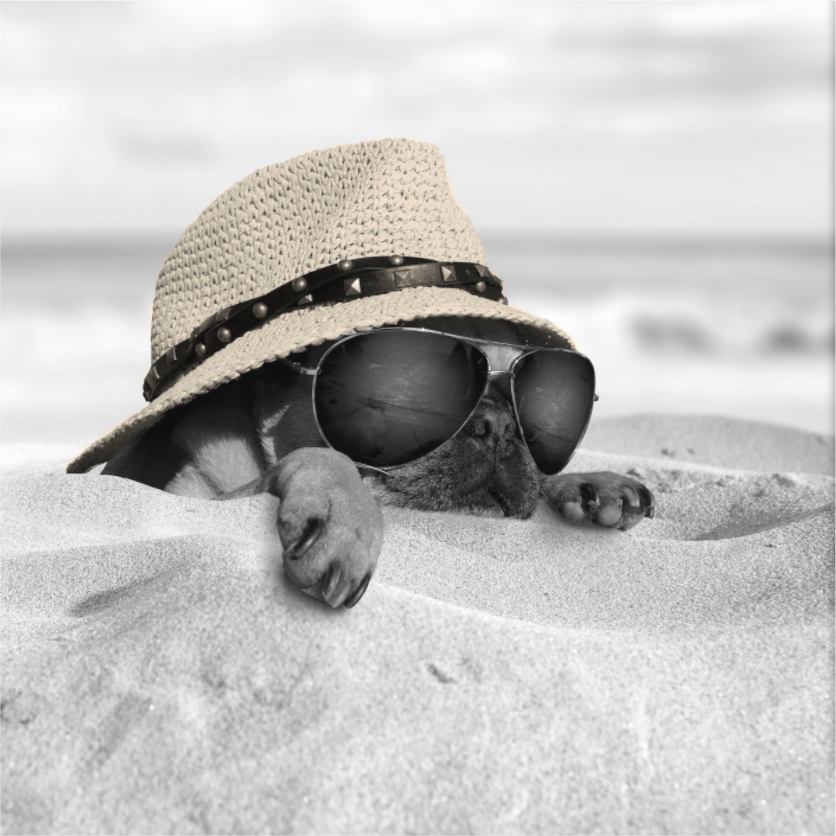 At the Beach