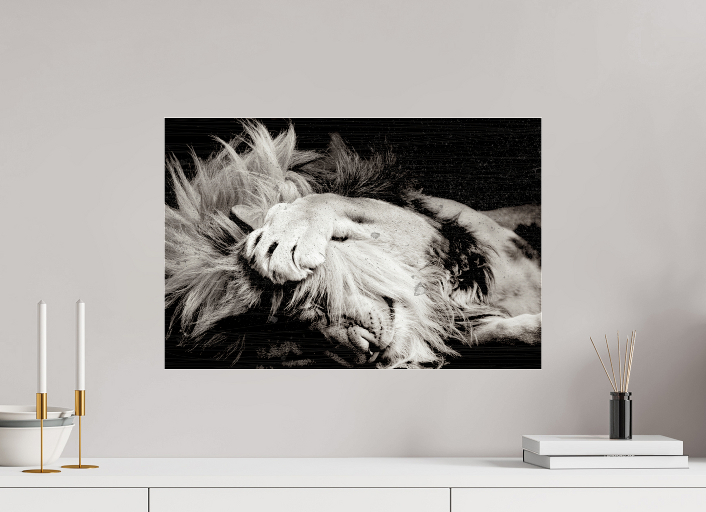 Lion Male