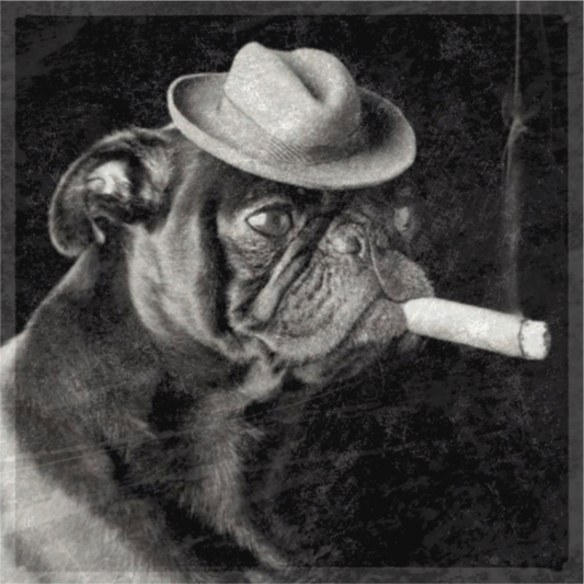 Smoking Dog