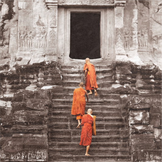 Monk on stairs