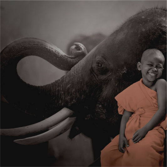 Monk & Elephant
